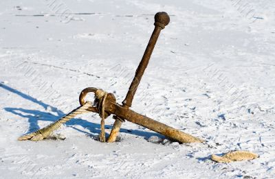 Rusty anchor in ice