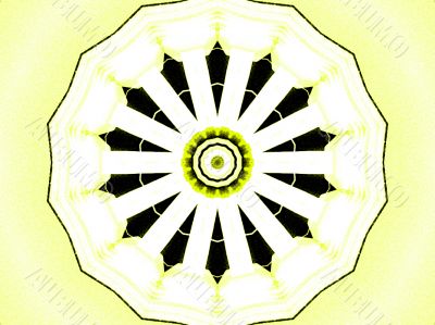 lemon wheel