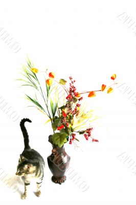Pet Gifts