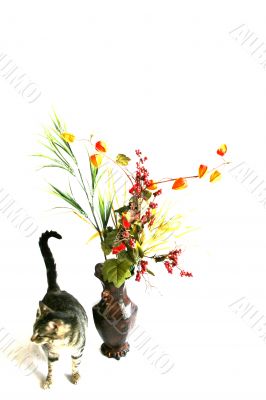 Pet Gifts
