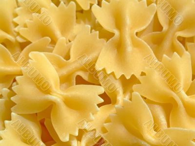Farfalle pasta
