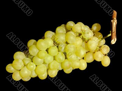 White grapes