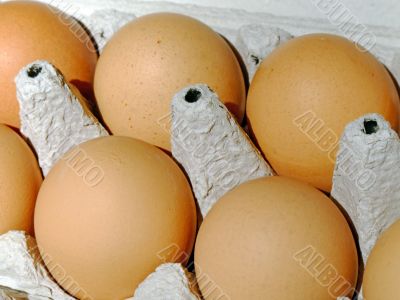 Fresh eggs