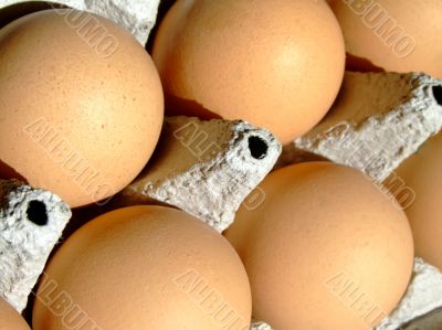 Fresh eggs