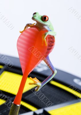Crazy frog