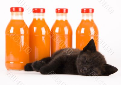 Cat & Orange drink
