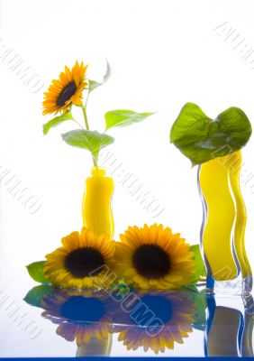 Summer flower