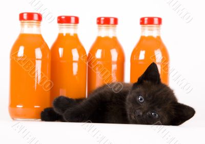 Cat & Orange drink