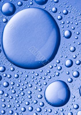 Fresh & Wet