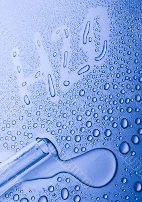 Fresh & Wet