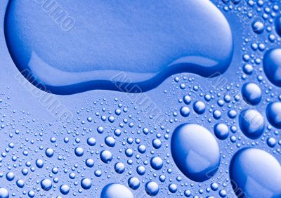 Fluid