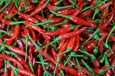 Fresh Red Chili Peppers