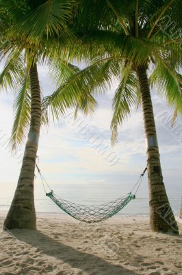 hammock