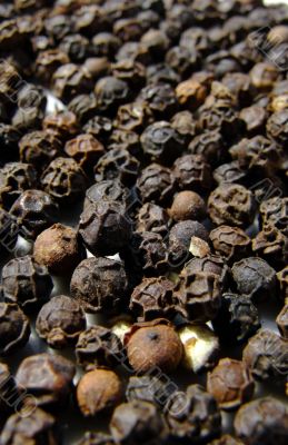 Black pepper