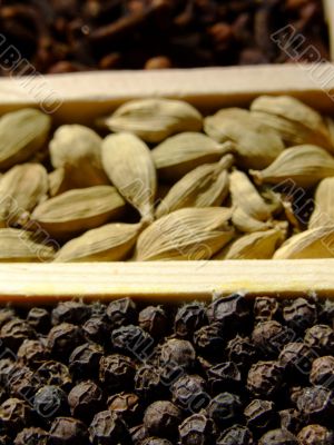 Spices