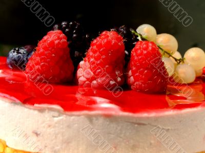 Cheese cake with berries