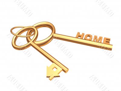 Two 3d gold keys with symbol home