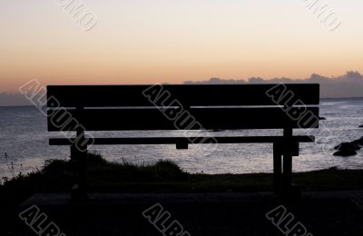 Morning at Forster
