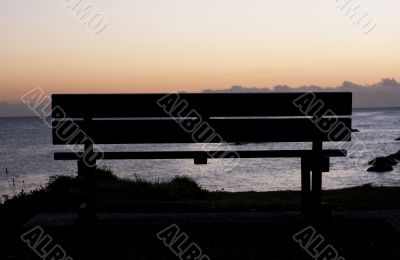 Morning at Forster