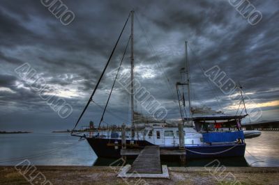 Morning at Forster