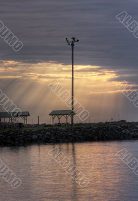 Morning at Forster