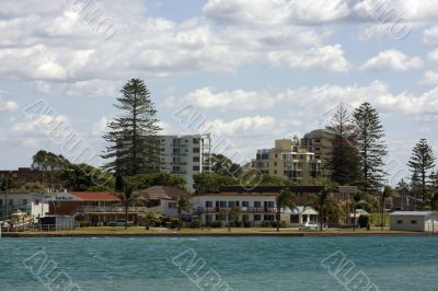 Morning at Forster