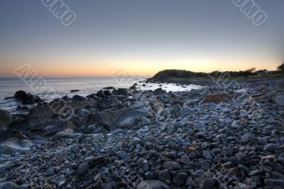 Morning at Forster