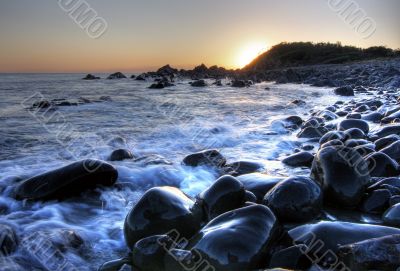 Morning at Forster