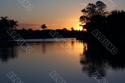 Morning at Forster