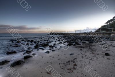 Morning at Forster