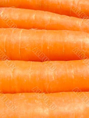 Carrots background
