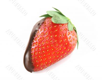 Chocolate Strawberry