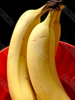 Bananas