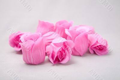 soap rosses