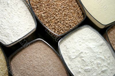 dry food