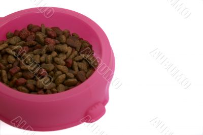 Cat Food