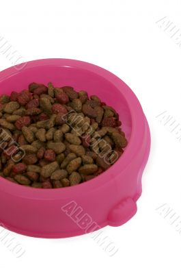 Cat Food