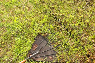 Garden Rake in Grass