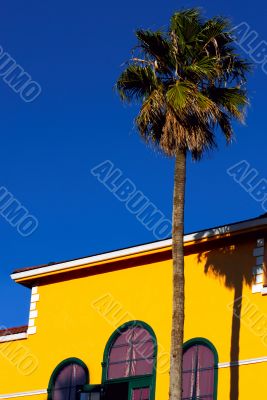 House and a palm tree - southern scene