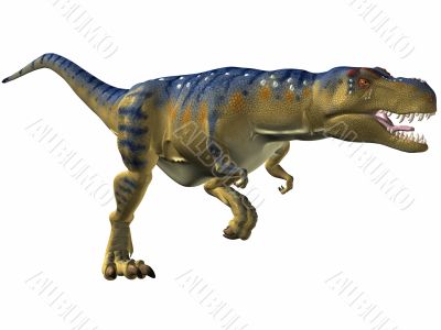 Tyrannosaurus Rex