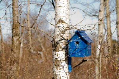 Blue Bird House