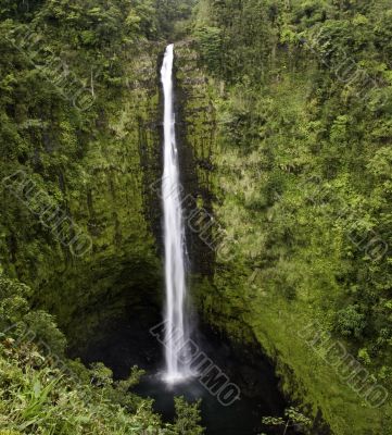 Akaka Falls