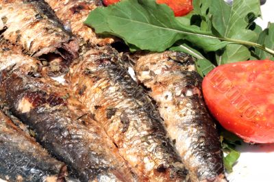 smoking grilled sardines on the plate with tomates and rockets