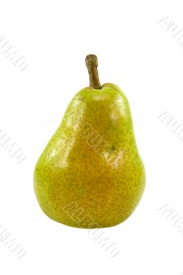 pear isolated on white