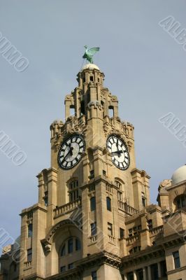 Liver Buildings
