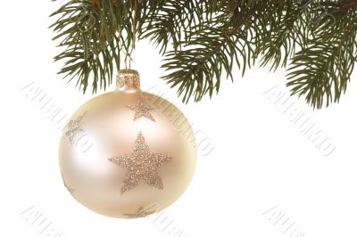 Festive
