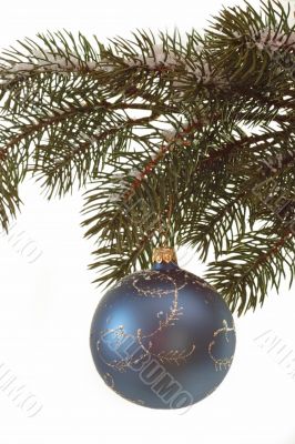 Fir branch with christmas ball