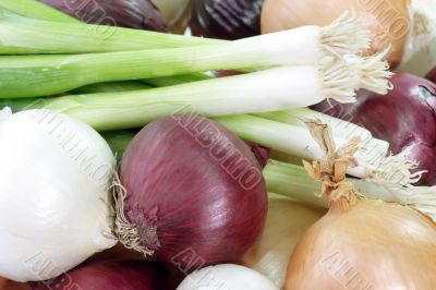 Background of onions