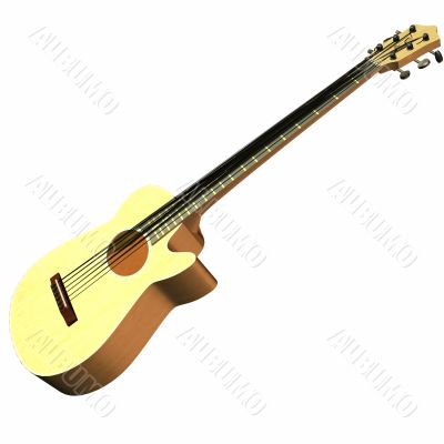 Acoustic Guitar