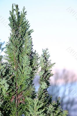 Top of Christmas Street Against Light Blue Sky